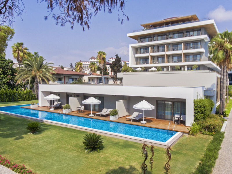 Acanthus Cennet Barut Collection