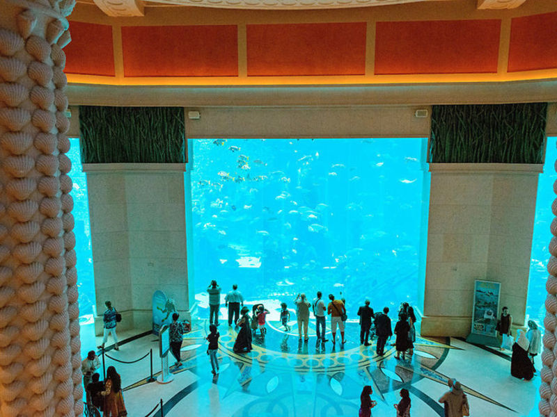 Atlantis, The Palm