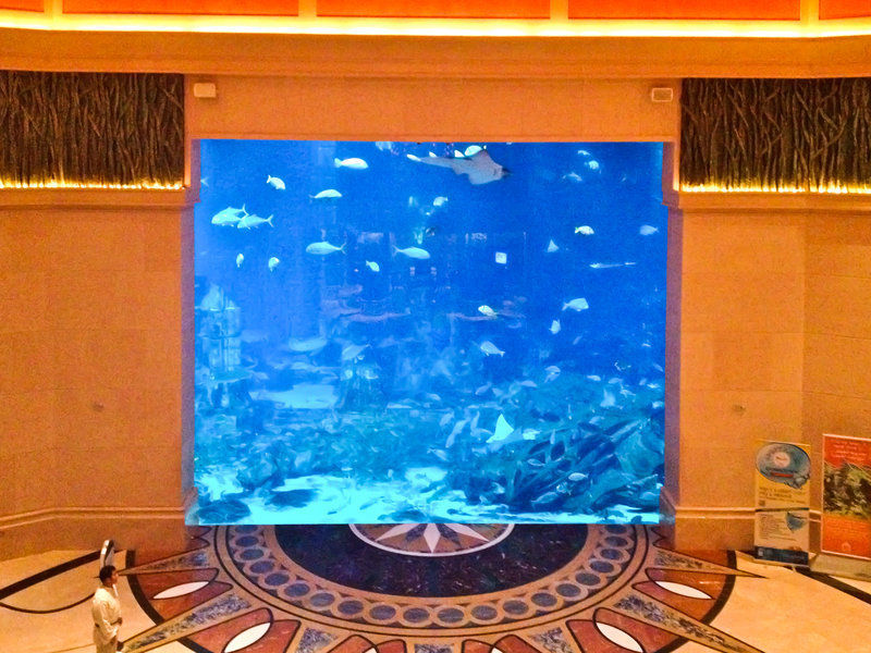 Atlantis, The Palm