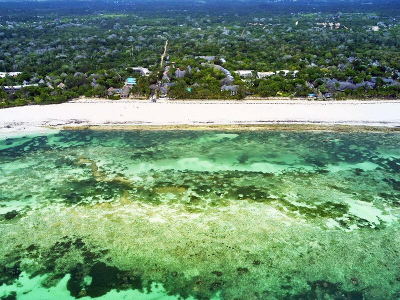 Papillon Lagoon Reef