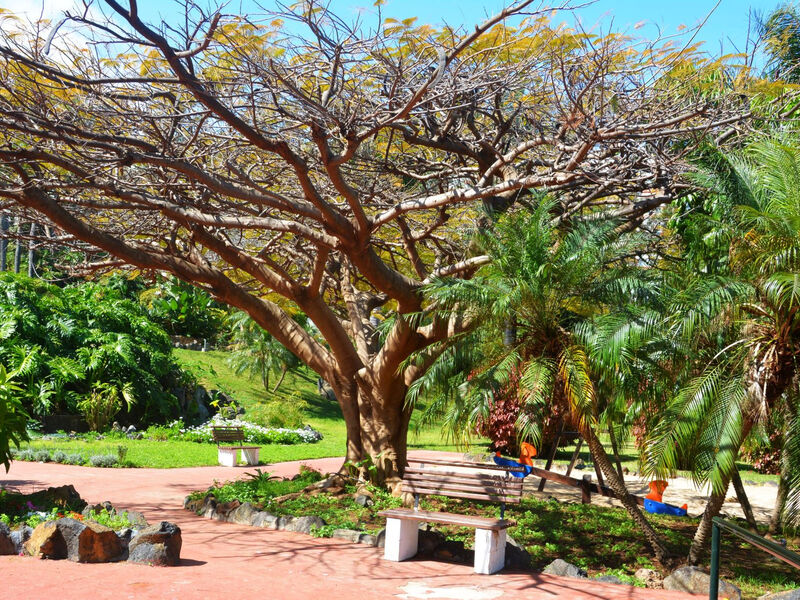 Parque Vacacional Eden