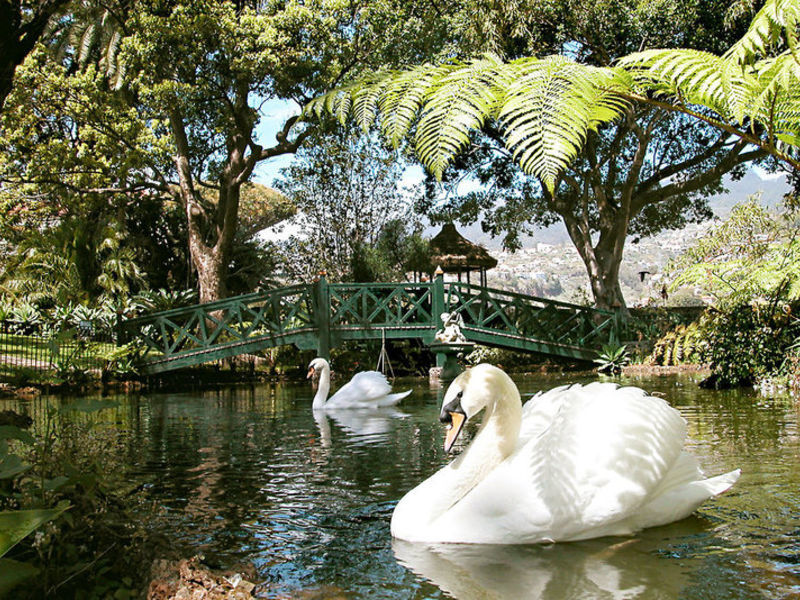 Quinta Jardins do Lago