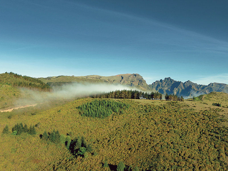 Sternfahrt / Madeira Panoramico